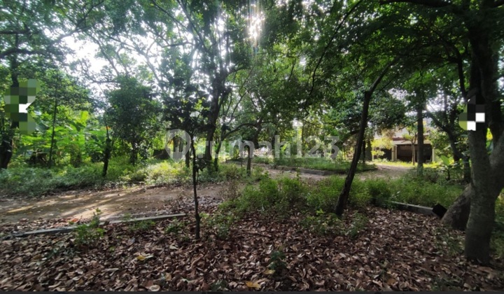 Dijual Kavling Sleman Yogyakarta