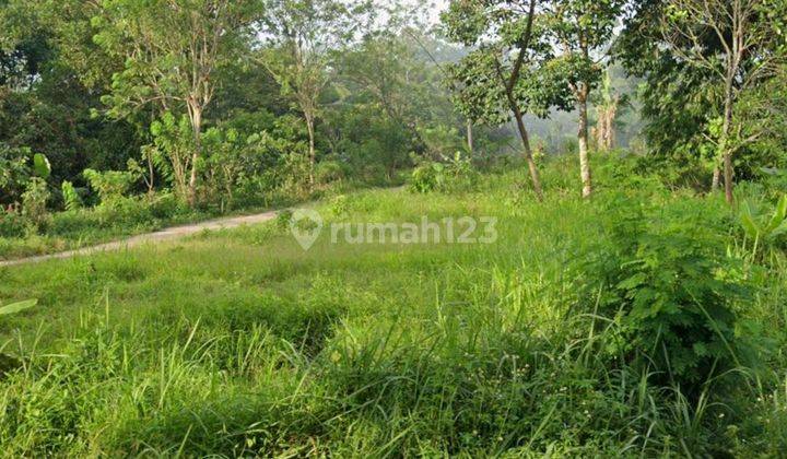 DIJUAL KAVLING TANAH 4100 M2 PINGGIR JALAN CITRA MAJA TANGERANG BANTEN 2