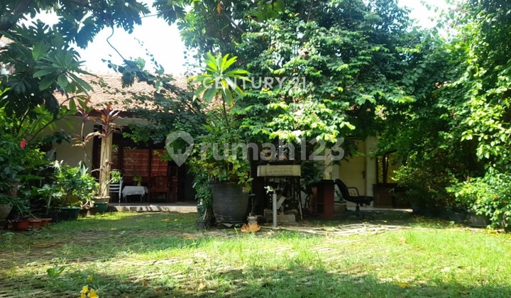 Rumah Hitung Tanah Pejaten Pasar Minggu Harga Menarik Strategis Rumah Hitung Tanah Pejaten Pasar Minggu Harga Menarik Strategis