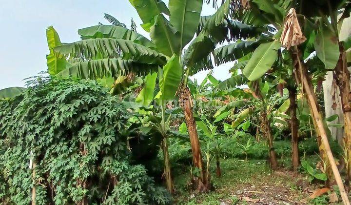 Tanah Berkontur Bagus Di Lokasi Nyaman Cocok Untuk Tempat Tinggal Di Bedahan Sawangan Depok  2