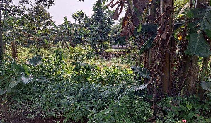 Tanah Berkontur Bagus Di Lokasi Nyaman Cocok Untuk Tempat Tinggal Di Bedahan Sawangan Depok  1