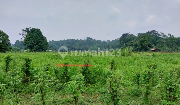 Land 16000 m2 Certificate of Ownership Wanayasa, Purwakarta Land 16000 m2 Certificate of Ownership Wanayasa, Purwakarta