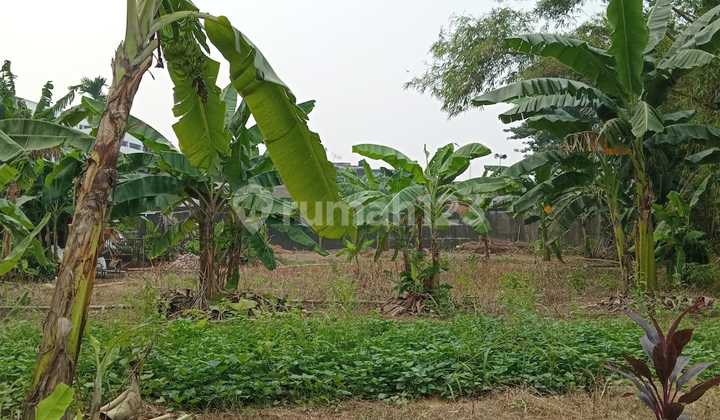 Tanah 1758 m2 SHM Pejaten, Jakarta Selatan Tanah 1758 m2 SHM Pejaten, Jakarta Selatan