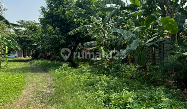 Land + Building Area 1000m² on Jl. Batu Ceper Tangerang Land + Building Area 1000m² on Jl. Batu Ceper Tangerang