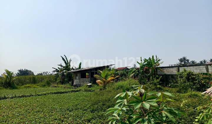 Tanah Sawah Luas 2,3Ha di Jl. Raya Salembaran Kec. Kosambi Kab. Tangerang Tanah Sawah Luas 2,3Ha di Jl. Raya Salembaran Kec. Kosambi Kab. Tangerang