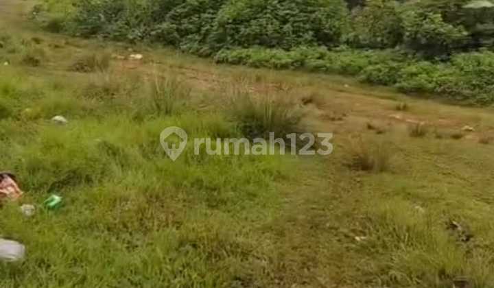 50 hectares of mainland land in Cikoya village, Solear sub-district, Tangerang regency