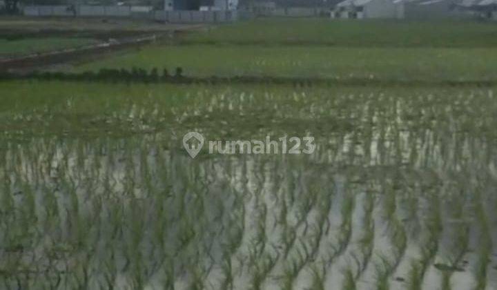 Tanah Sawah Luas 1,6h di Jl. Kp. Kelor Kec.sepatan Timur Tangerang 1