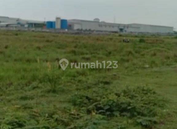 Tanah Sawah Kering Luas 3h di Jl. Raya Perancis Dadap Tangerang 1