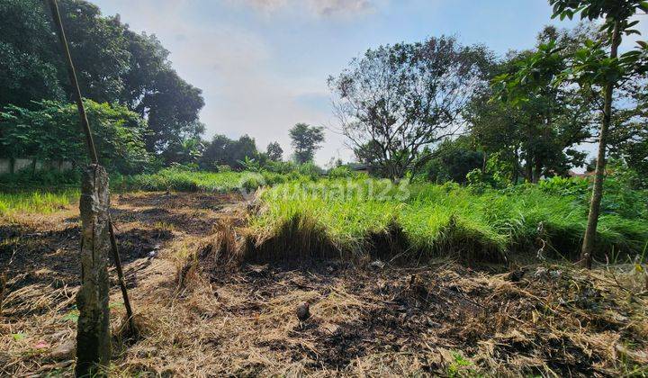 Tanah Sawah Kering Luas 2970m² di Jl. Palasari Legok Tangerang 2