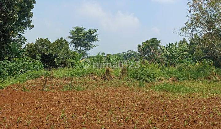 Tanah Sawah Kering Luas 2970m² di Jl. Palasari Legok Tangerang 1