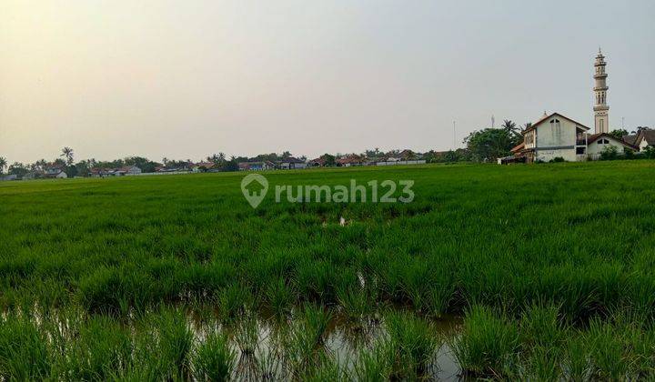 Tanah Sawah Luas 1,7h Dalam Kawasan Industri di Jl. Cikande Serang 1