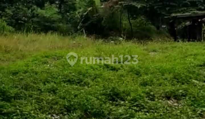 Tanah Darat + Sawah Kering Luas 57H di Ds. Kadu Kec. Curug Tangerang (Jm)