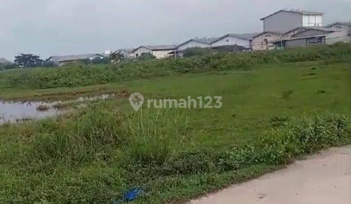 Tanah Sawah Luas 2,5h Kawasan Industri Pergudangan Yungsen Kec.pakuhaji Tangerang 1