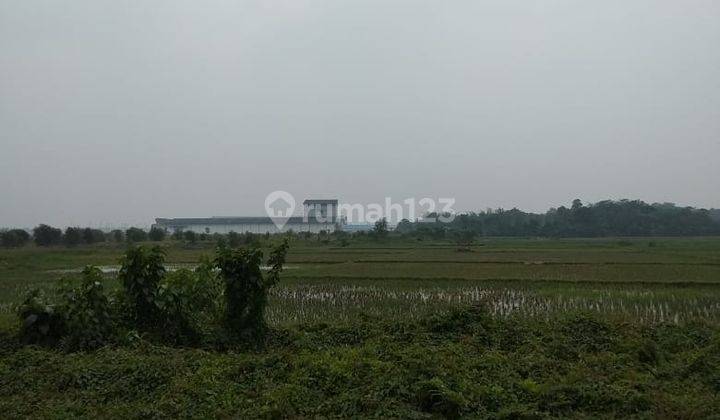 Tanah Sawah Luas 2h Kawasan Industri Modern Cikande Serang 1