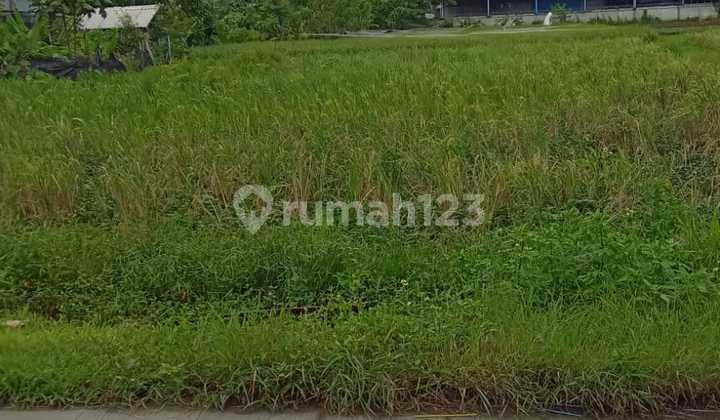 Tanah Sawah Luas 2100M² di Sepatan Barat Kab. Tangerang (Hc)