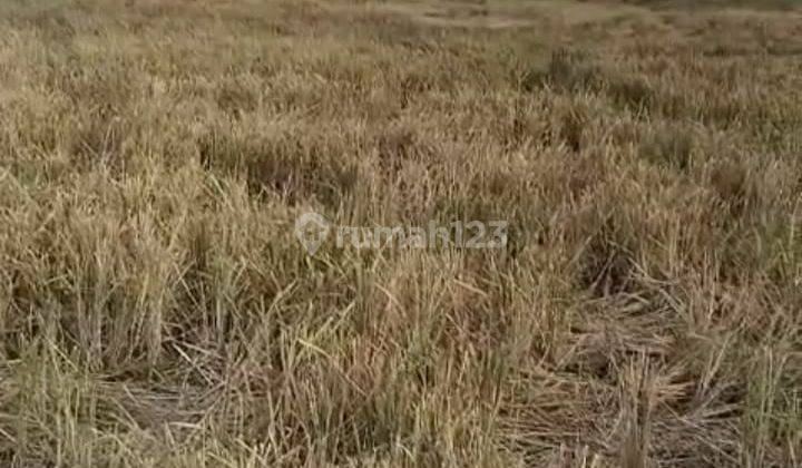 Tanah Darat Luas 1,2h di jl. Neglasari Kota Tangerang  1