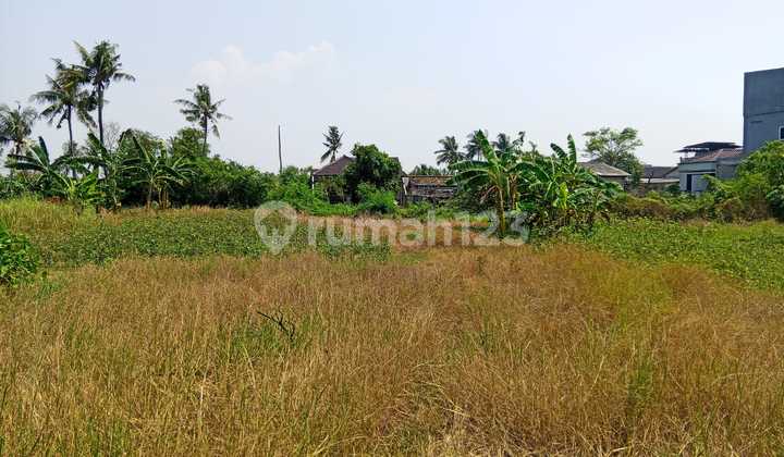 Tanah Darat Luas 3900M² di Jl. Salembaran Kec. Kosambi Kab. Tangerang Tanah Darat Luas 3900M² di Jl. Salembaran Kec. Kosambi Kab. Tangerang