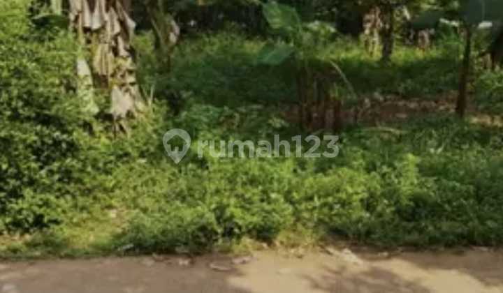 A 1-hectare plot of land on Jl. Sewan, Neglasari District, Tangerang Regency A 1-hectare plot of land on Jl. Sewan, Neglasari District, Tangerang Regency