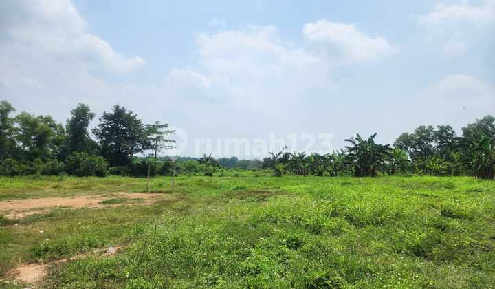 Tanah Datar Luas 68,5H di Kp. Cileles Bantar Panjang Kec. Tigaraksa Tangerang (Hn) Tanah Datar Luas 68,5H di Kp. Cileles Bantar Panjang Kec. Tigaraksa Tangerang (Hn)