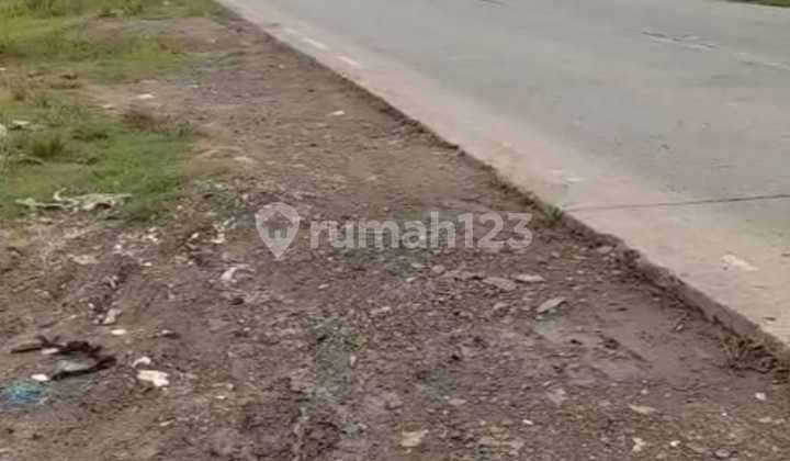 50 hectares of mainland land in Cikoya village, Solear sub-district, Tangerang regency