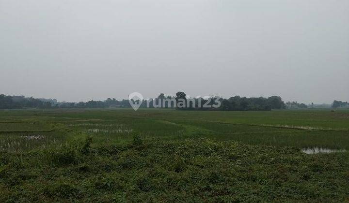 Tanah Sawah Luas 2h Kawasan Industri Modern Cikande Serang 2