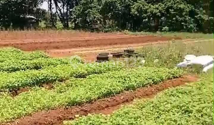 Tanah Sawah Kering Luas 5700m² di Serpong Utara Tangerang Selatan Tanah Sawah Kering Luas 5700m² di Serpong Utara Tangerang Selatan