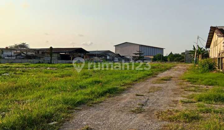 Tanah Luas 1,4H Sudah Panel di Jl. Kapuk Peternakan Kec. Penjaringan Jak-Ut