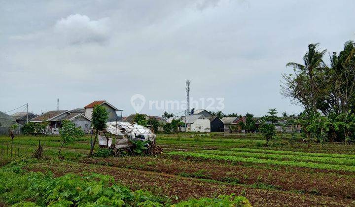 Tanah Sawah Luas 1,6h di Jl. Gempol Sari Kec.Sepatan Timur Tangerang 1