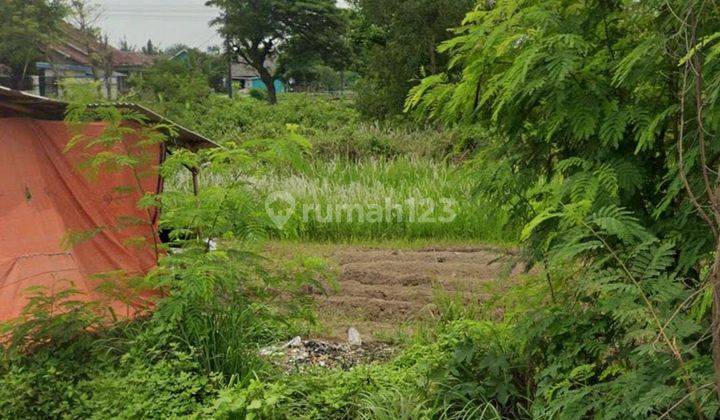 Tanah Darat Luas 1h di Jl. Ciujung Kec.rangkasbitung Serang 1