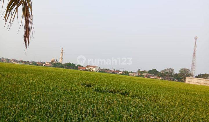 Tanah Sawah Luas 3h di Jl.Raya Sepatan Kec.Pakuhaji Tangerang 2