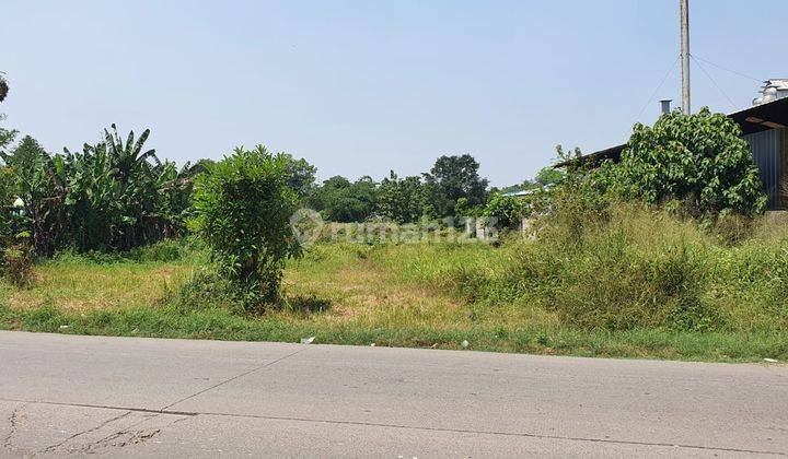 Tanah Darat Luas 2h di Jl. Raya Kutruk Cikupa Kec. Panongan Kab.tangerang 2