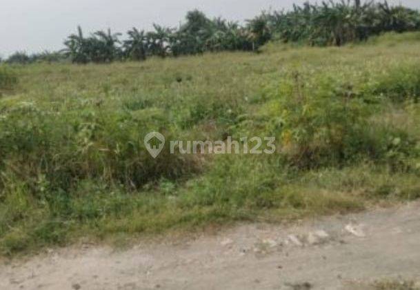 Tanah Darat Luas 10h di Jl. Sari Mukti Tambun Utara Bekasi 2