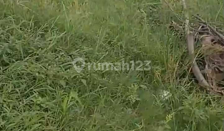 Tanah Darat & Kebun Luas 3000M² di Salembaran Kec. Kosambi Kab. Tangerang (Mh)