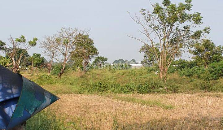 Tanah Darat Luas 5ha Dekat Tangerang Regency Kec.kresek Perbatasan Tangerang Serang 2