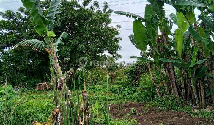 Tanah Luas 3000m² di Jl. Raya Kampung Melayu Kec. Teluk Naga Tangerang 2