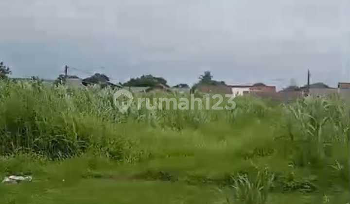 Tanah Darat Luas 1,4Ha di Jl. Raya Muntjul Kec.tigaraksa Tangerang (Sy)