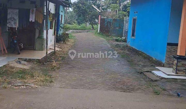 Tanah Sawah Luas 2h di Balaraja Barat Tangerang 2