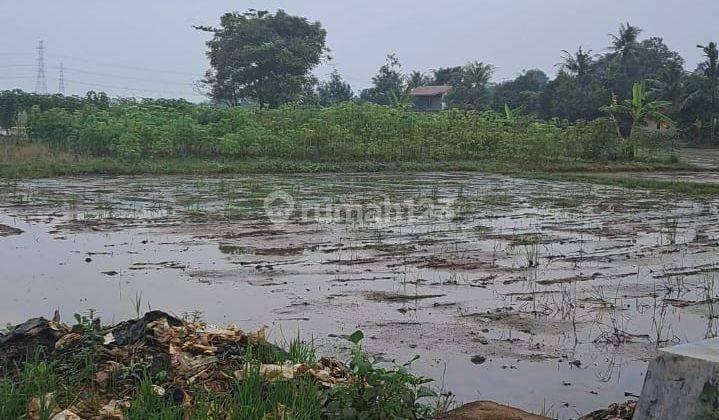 Tanah Sawah Luas 2h di Balaraja Barat Tangerang 1