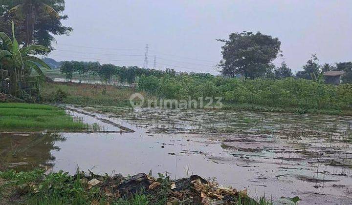 Tanah Sawah Luas 2h di Balaraja Barat Tangerang 2