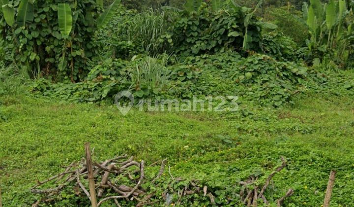 Tanah Darat Luas 300Ha di Jl. Raya Rangkas Bitung Tangerang (Sy)