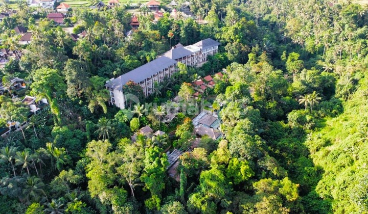 For Sale Fast Licensed 4-Star Hotel/Resort & Spa in Ubud 2