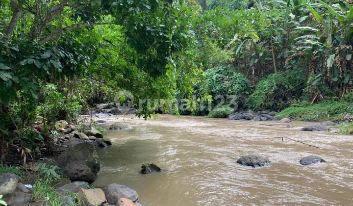 Quick Sale River Plot Land Suitable for Villas in Tabanan