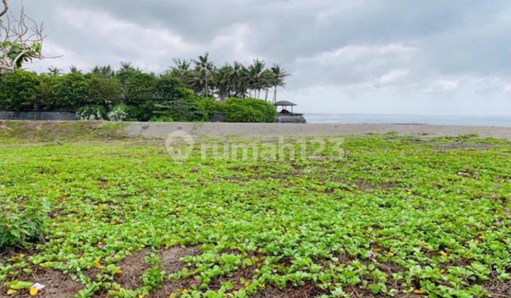 For Sale Quick Beachfront Ocean View Land in Pantai Cemagi, Canggu