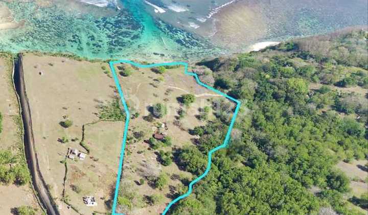 Jual Cepat Tanah Los Tebing View Ocean di Ungasan