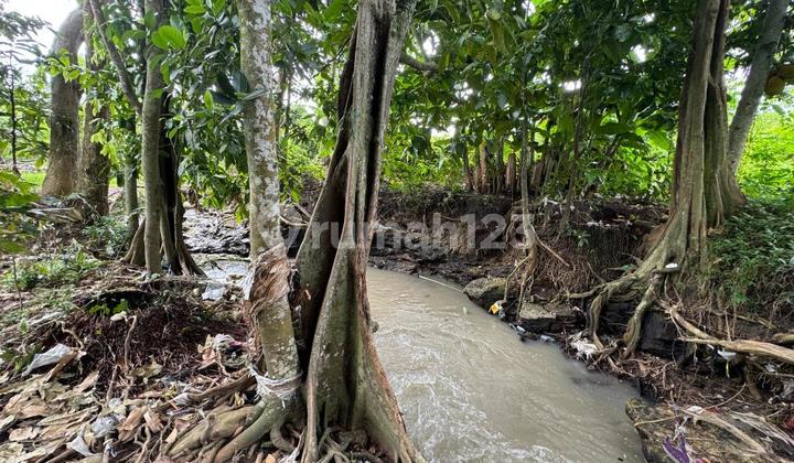Dijual Cepat Tanah Los Sungai View Sawah di Tanah Lot, Tabanan