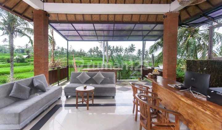 For Quick Sale Villa & Resort With Rice Field View in Ubud 2