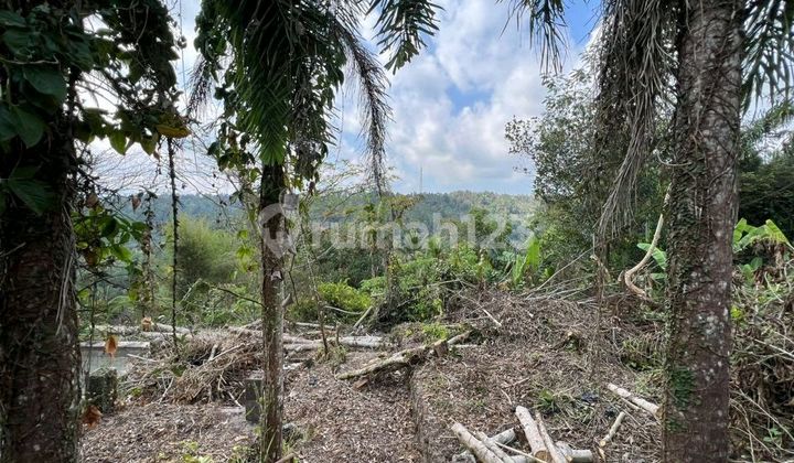 Dijual Cepat Tanah Los Sungai di Ubud- Gianyar