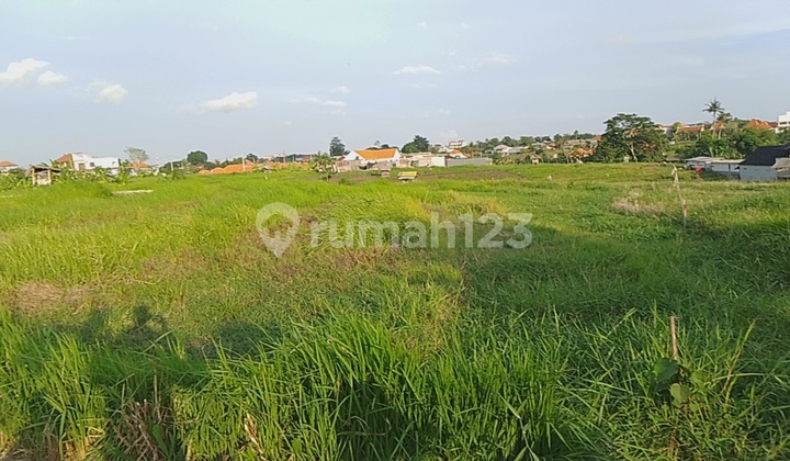 For Sale Cheap Land Villa Environment in Berawa-Canggu