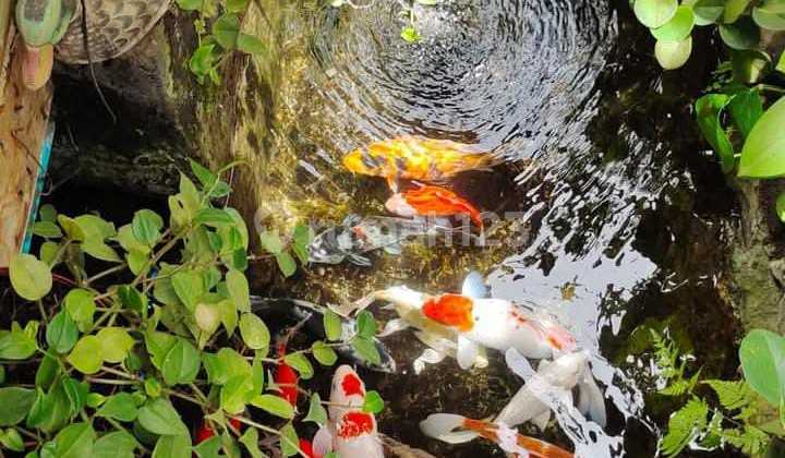 Bu Jual Rumah Villa Daerah Ujung Berung.