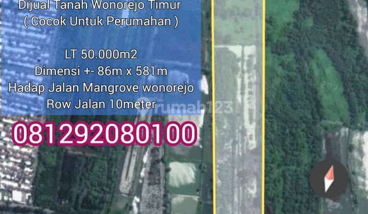 Tanah Nol Jalan Utama Wonorejo Rungkut 5 Ha Surabaya 2